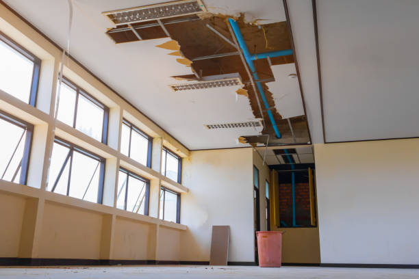 Best Flood restoration services  in White Oak, PA