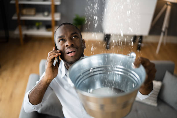Best Local water damage restoration  in White Oak, PA