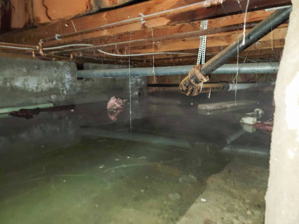  White Oak, PA Water damage restoration Pros
