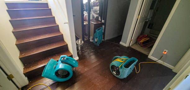 Best Water damage restoration near me  in White Oak, PA