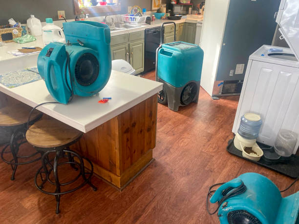 Best Flooded house restoration  in White Oak, PA