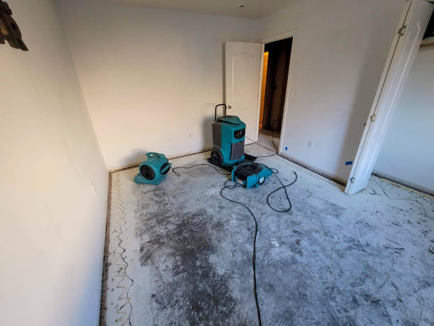 Best Flood damage cleanup  in White Oak, PA