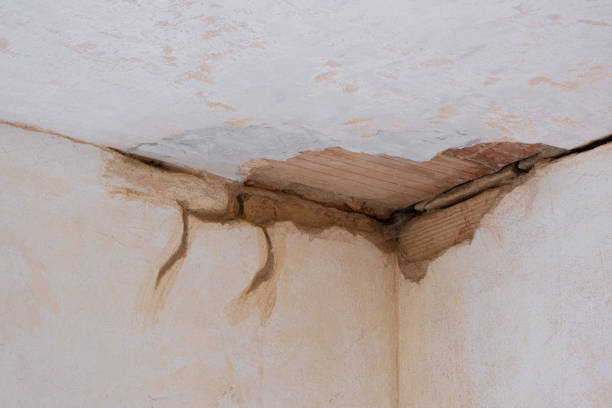 Best Sewage cleanup and water damage restoration  in White Oak, PA