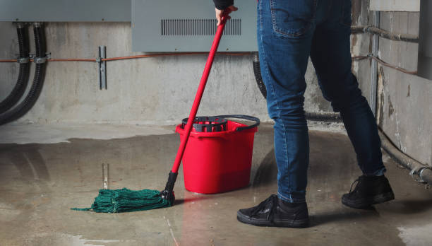 Best Water damage restoration near me  in White Oak, PA