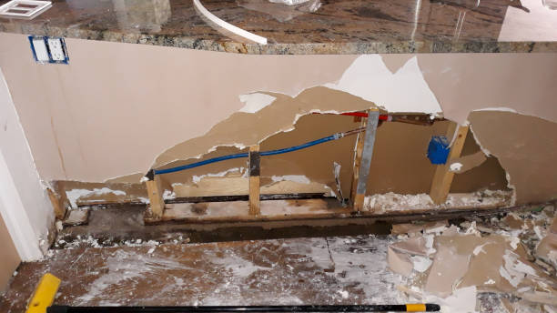 Best Basement water damage restoration  in White Oak, PA