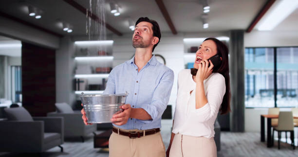 Best Mold removal after water damage  in White Oak, PA