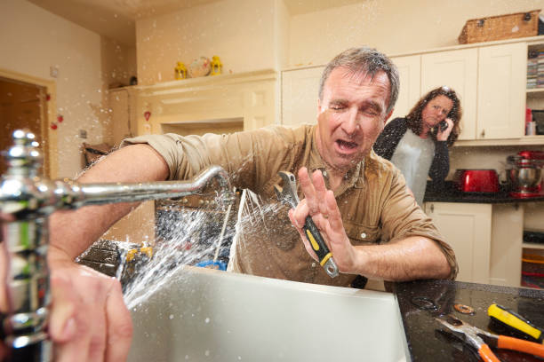 Best Fire Damage Restoration  in White Oak, PA